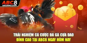 Đá Gà Cựa Dao - Trải Nghiệm Cá Cược Đỉnh Cao Tại ABC8