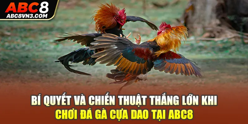 Bí quyết và chiến thuật thắng lớn khi chơi đá gà cựa dao tại ABC8