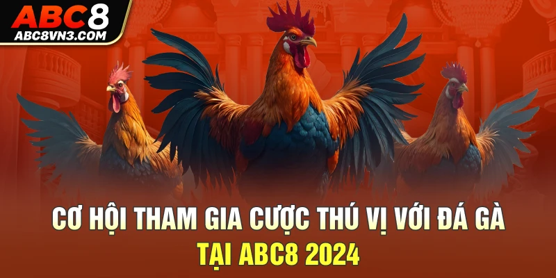 Cơ hội tham gia cược thú vị với đá gà tại ABC8 2024