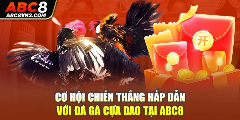 Cơ hội chiến thắng hấp dẫn với đá gà cựa dao tại ABC8