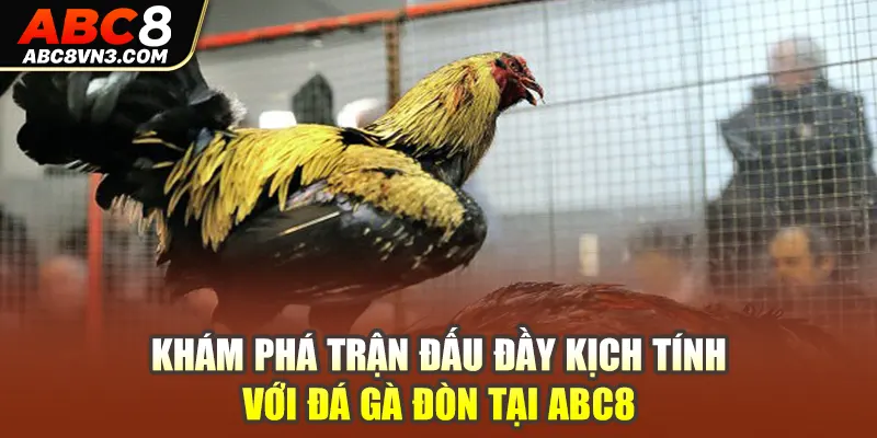 Khám phá trận đấu đầy kịch tính với đá gà đòn tại ABC8