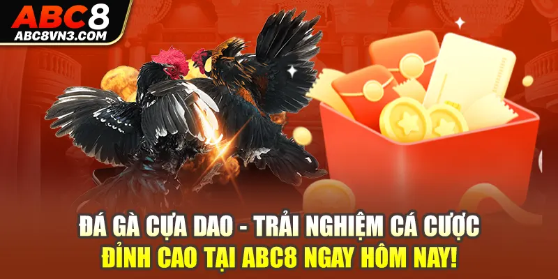 Trải nghiệm cá cược đá gà cựa dao đỉnh cao tại ABC8 ngay hôm nay