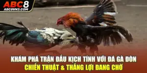 Khám Phá Trận Đấu Kịch Tính Với Đá Gà Đòn – Thắng Lợi Đang Chờ