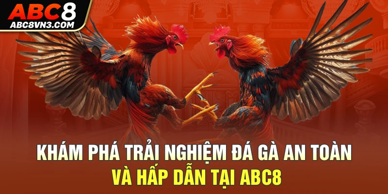 Khám phá trải nghiệm đá gà an toàn và hấp dẫn tại ABC8